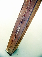 Poškození dřeva dřevokazným hmyzem